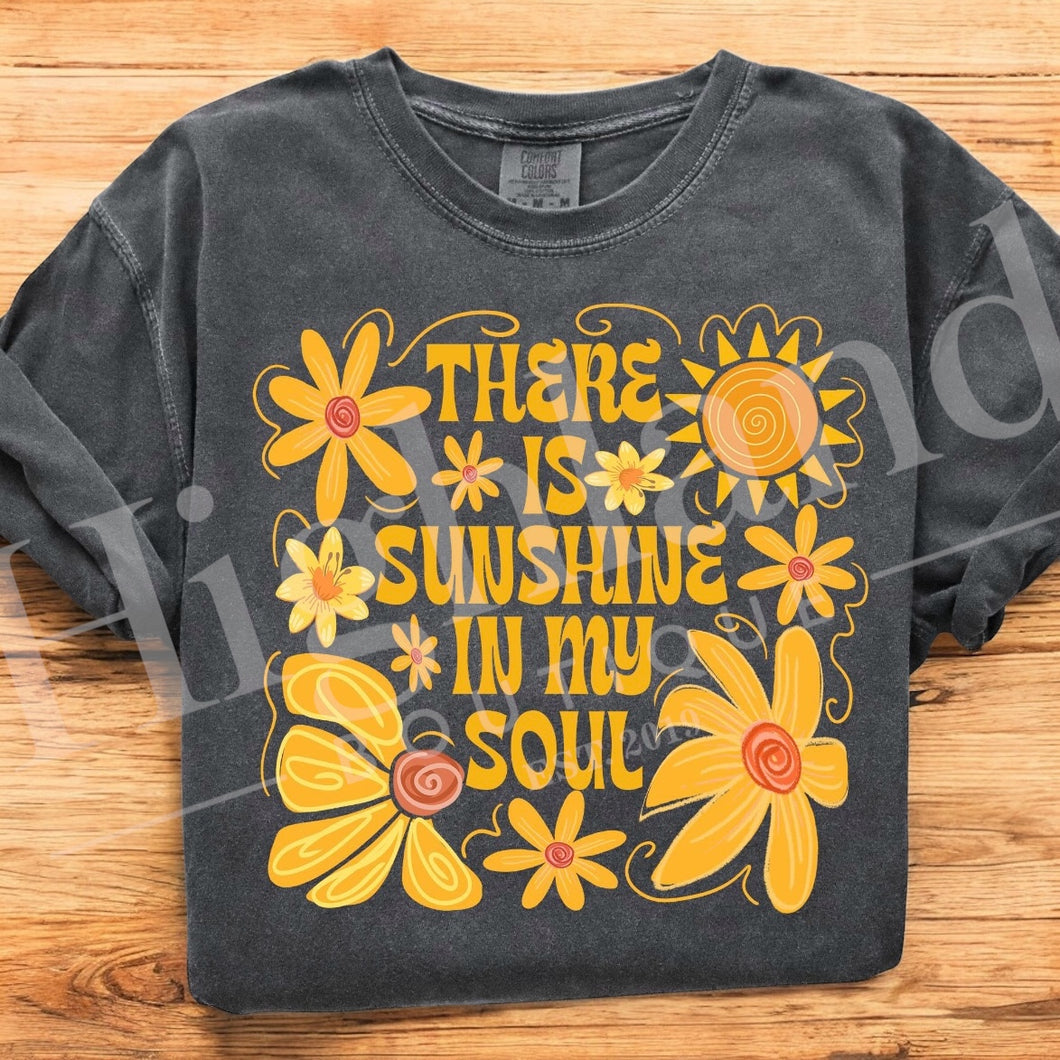 THERE IS SUNSHINE IN MY SOUL